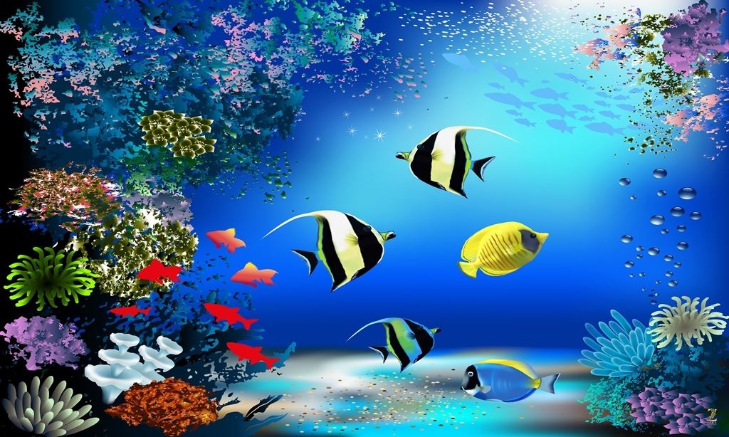 ALL YOUR DESIGN Self Adhesive Wallpaper Fish Aquarium Design Waterproof   Laminated Wall Sticker for Home Decor Living Room Bedroom Hall Kids Room  3x4 Feet  Amazonin Home Improvement