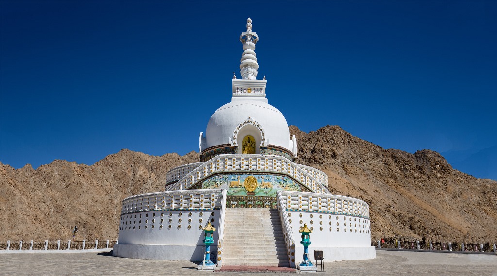 Garden roses Vishwa Shanti Stupa Raja Vishal ka Garh Peace Pagoda Pillars  of Ashoka, others, floribunda, computer Wallpaper, flower png | PNGWing