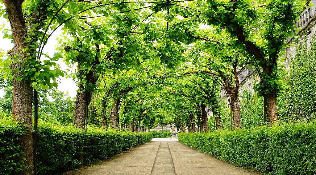 Central Park Wallpapers - Wallpaper Cave