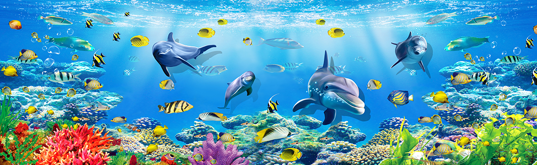 Kids Room wallpaper with Fish 3D wall effect