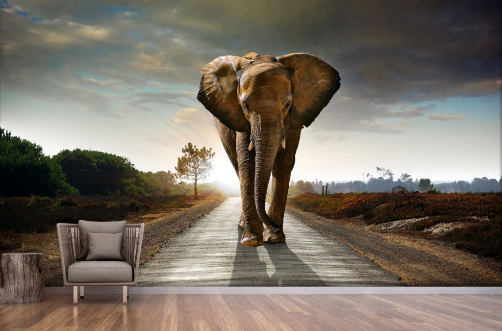 3d Wallpaper Living Room Chinese elephant  Home Decoram